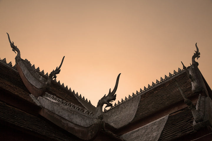 Dragons of Laos