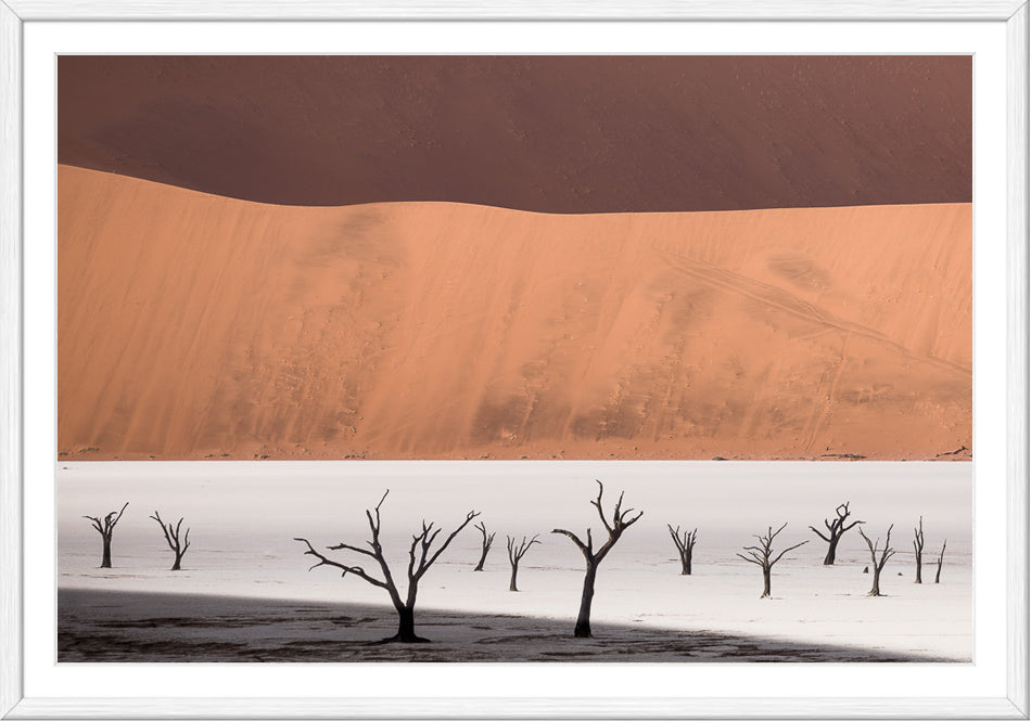 Deadvlei I