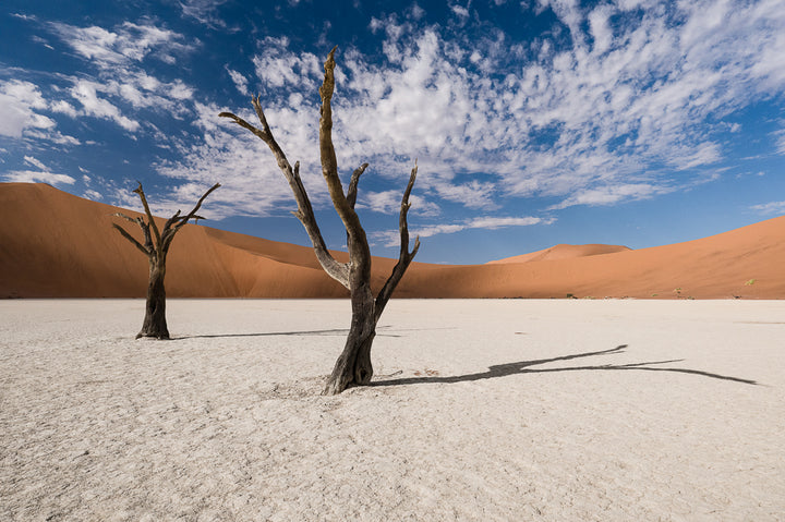 Deadvlei II