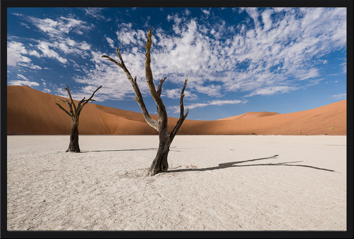 Deadvlei II