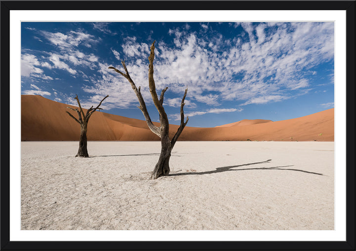 Deadvlei II