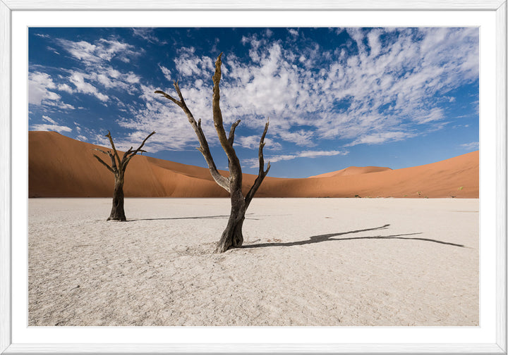 Deadvlei II