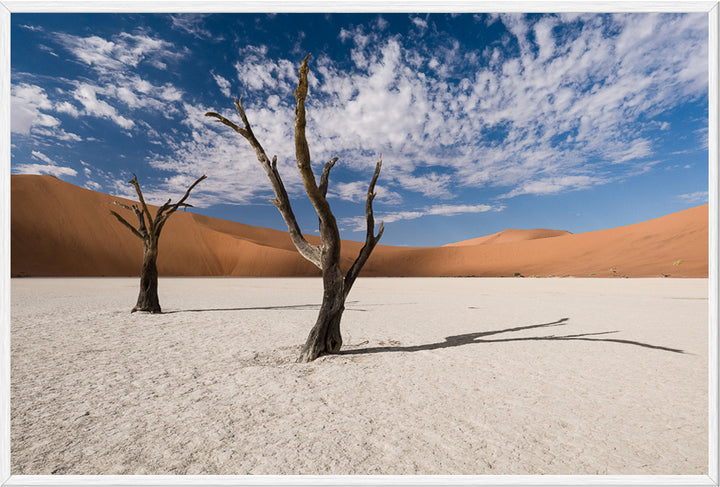 Deadvlei II