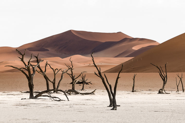 Deadvlei III