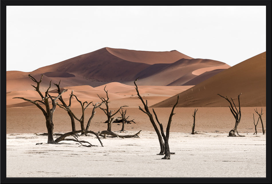 Deadvlei III