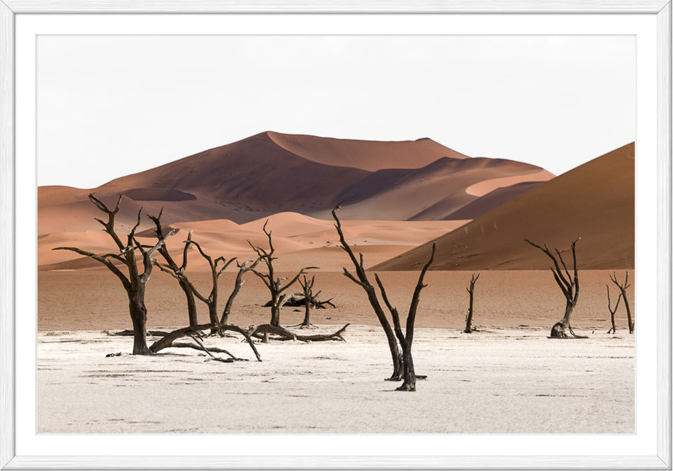 Deadvlei III