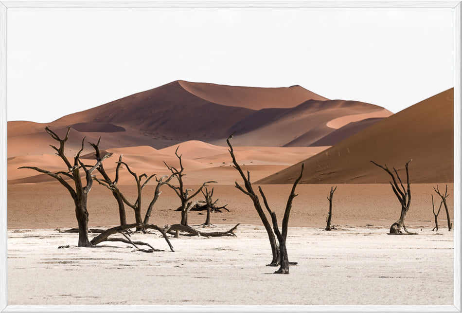 Deadvlei III