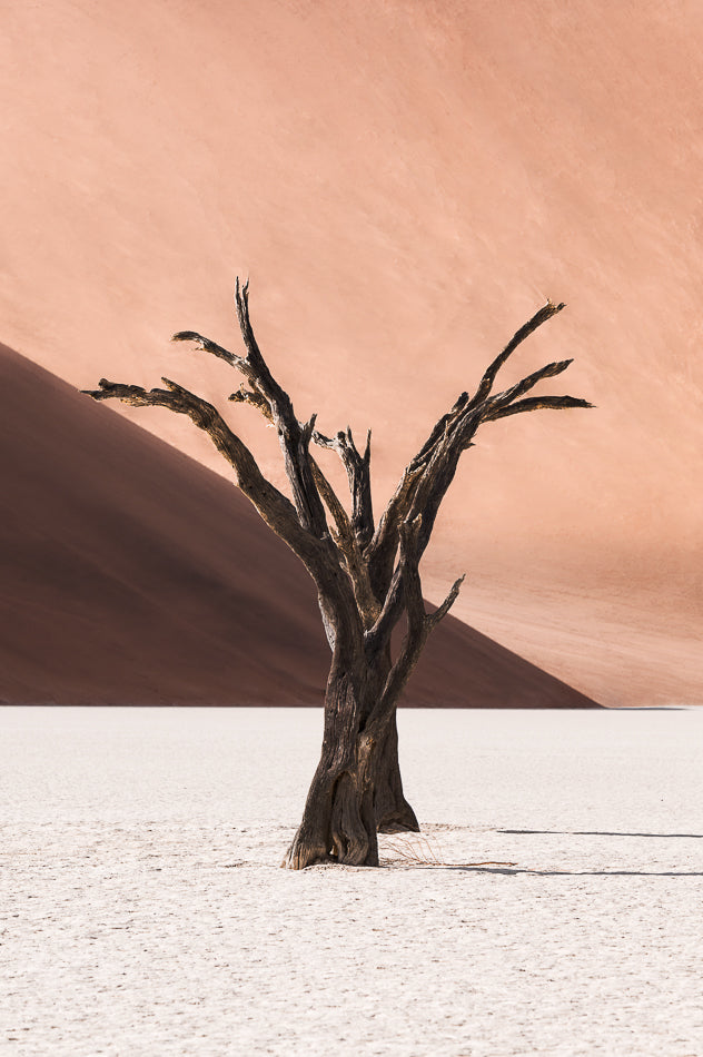 Deadvlei IV