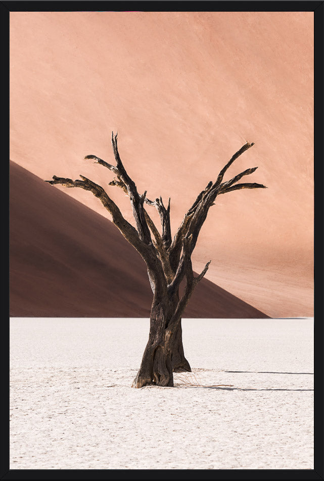 Deadvlei IV