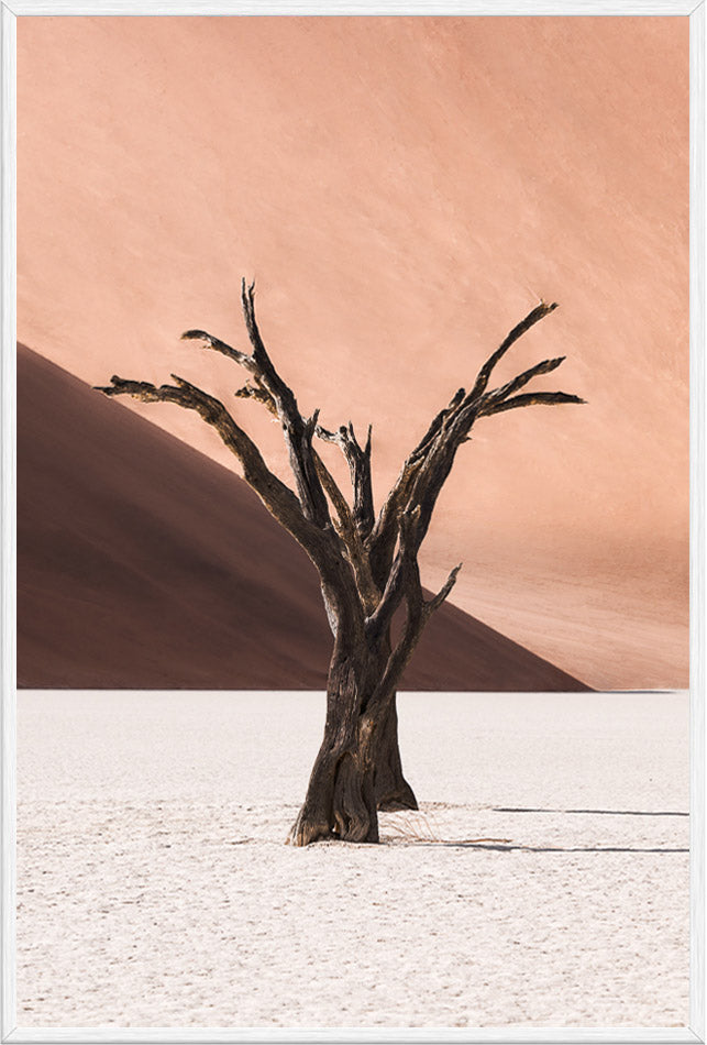 Deadvlei IV