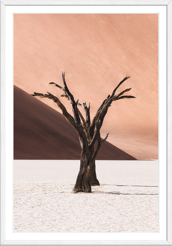 Deadvlei IV