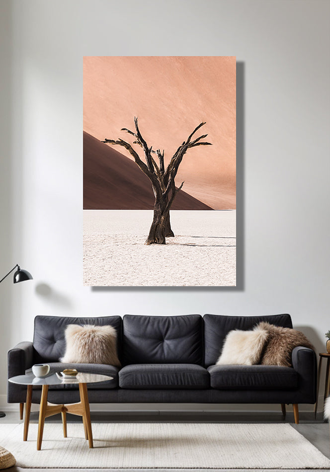 Deadvlei IV