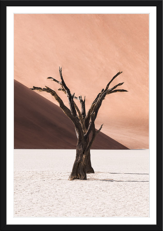 Deadvlei IV