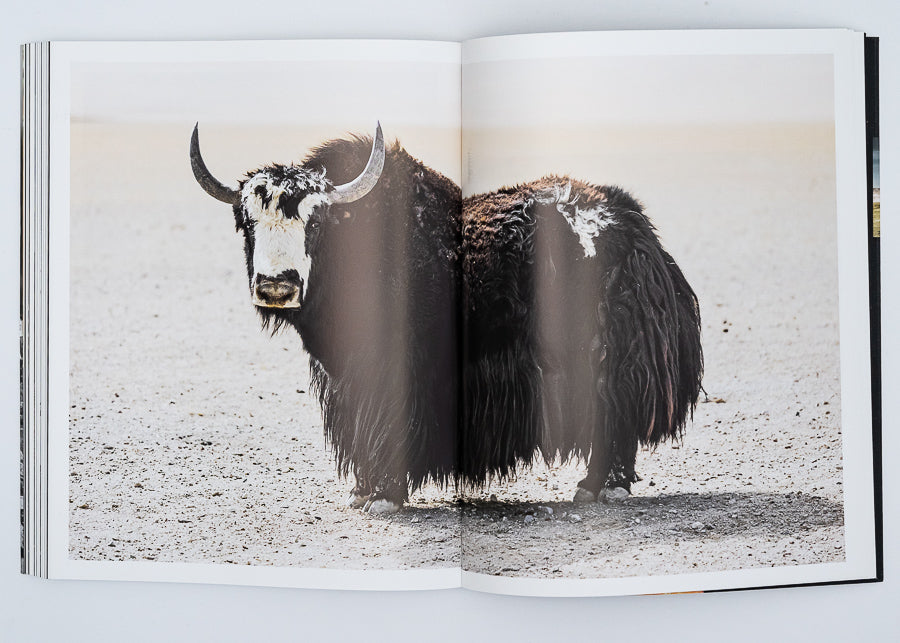 100 TAGE TIBET