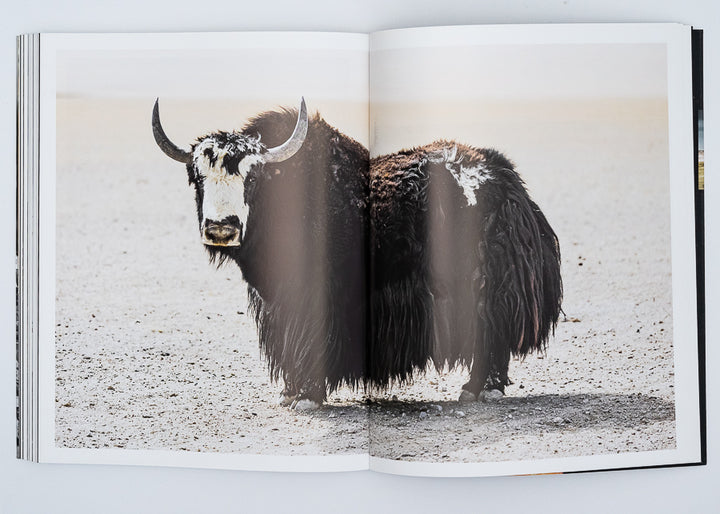 100 TAGE TIBET