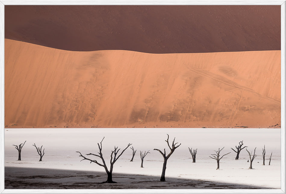 Deadvlei I