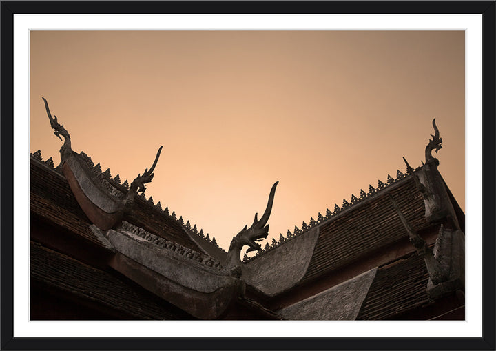 Dragons of Laos