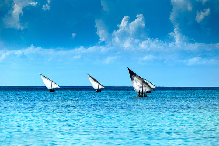 Sails of Zanzibar I